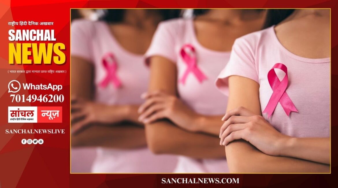 क्या लॉन्जरी पहनने से जल्दी होता है ब्रेस्ट कैंसर? नई-नई जवां हुईं लड़कियां भूलकर भी इग्नोर न करें डॉक्टरों की यह सलाह क्या लॉन्जरी पहनने से जल्दी होता है ब्रेस्ट कैंसर? नई-नई जवां हुईं लड़कियां भूलकर भी इग्नोर न करें डॉक्टरों की यह सलाह