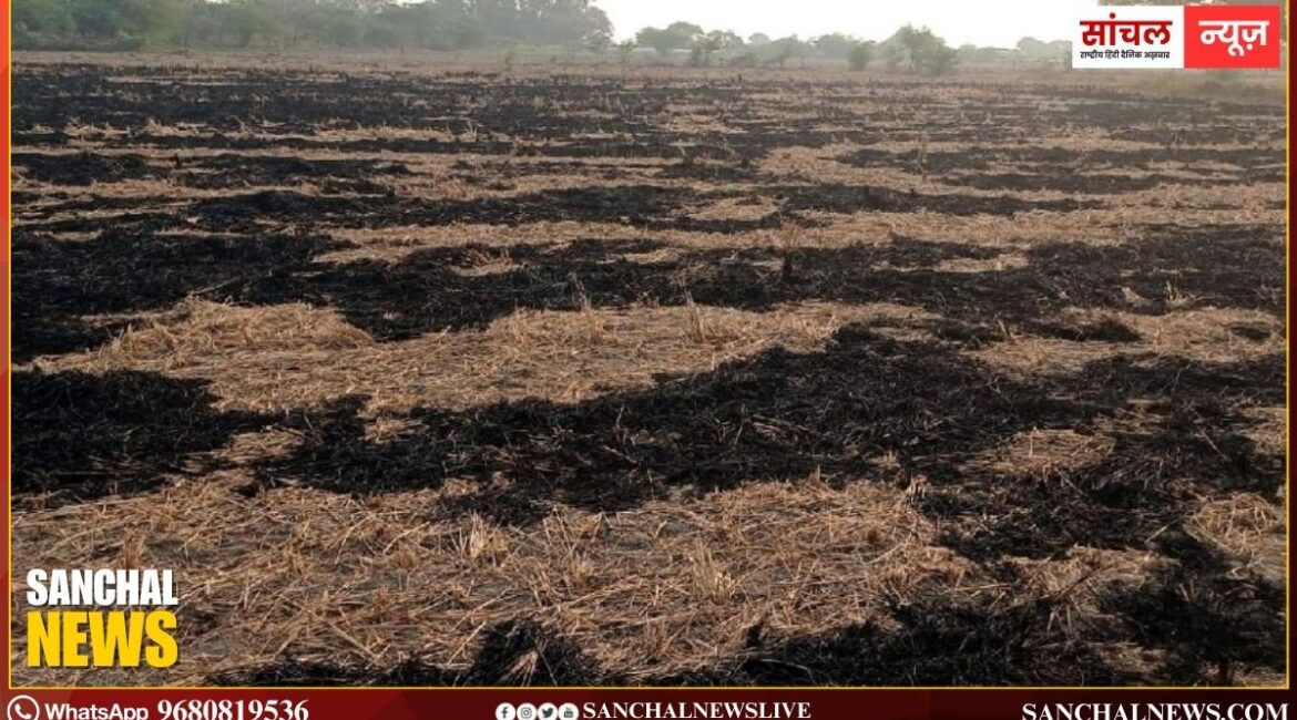 अनूपगढ़ में पराली जलाने पर लगा फुलस्टॉप,  पराली अब समस्या नहीं, आय का जरिया, किसानों ने कमाया ₹1 लाख तक का अतिरिक्त मुनाफा
