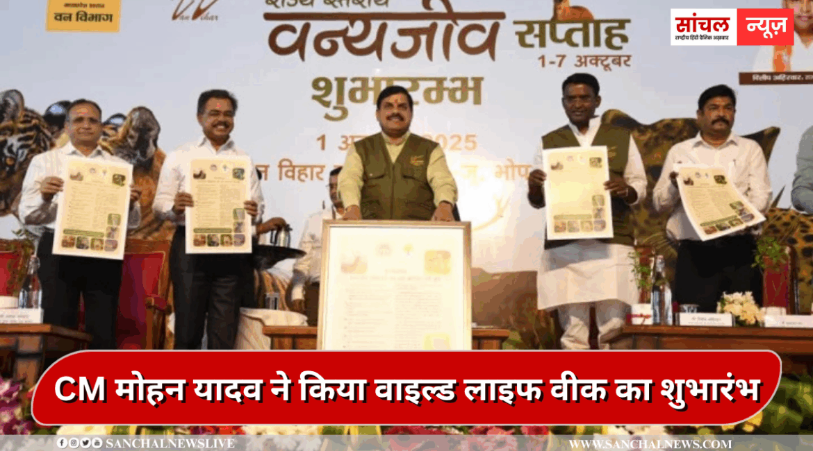 CM मोहन यादव ने किया वाइल्ड लाइफ वीक का शुभारंभ, MP में सफारी का आनंद उठाएंगे पर्यटक CM मोहन यादव ने किया वाइल्ड लाइफ वीक का शुभारंभ, MP में सफारी का आनंद उठाएंगे पर्यटक