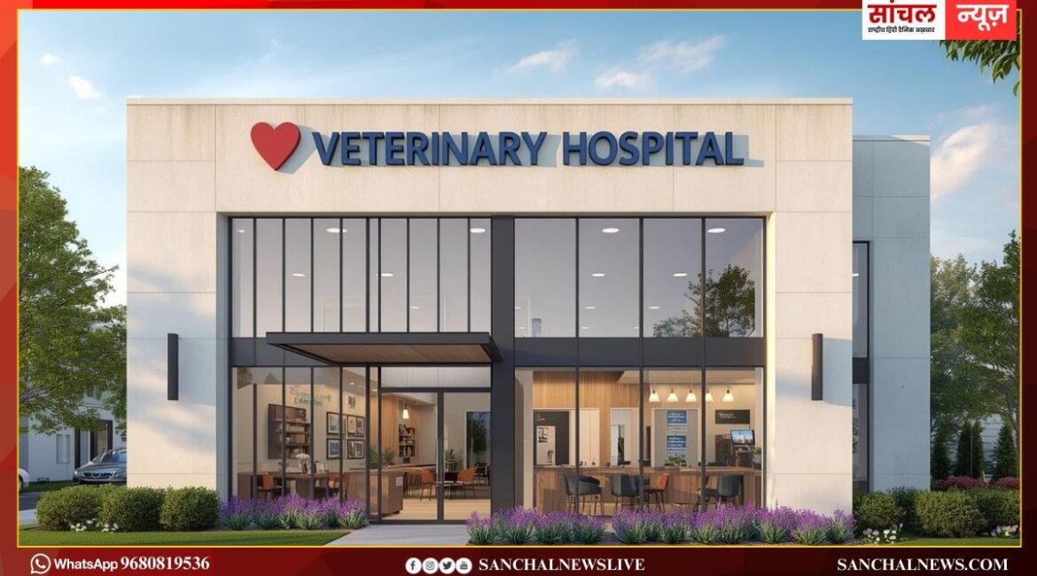 Sanchal Rajasthan; 38 जिलों में बनेंगे 310 नए पशु चिकित्सालय भवन, 144 करोड़ राशि स्वीकृत Sanchal Rajasthan; 38 जिलों में बनेंगे 310 नए पशु चिकित्सालय भवन, 144 करोड़ राशि स्वीकृत