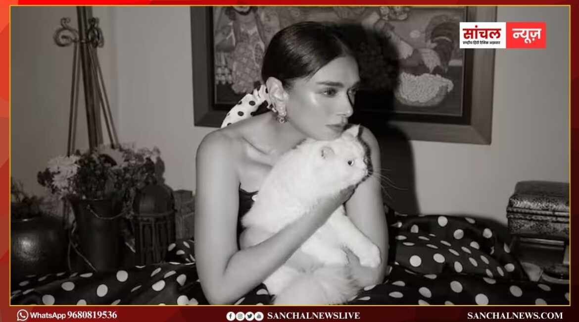 सोशल मीडिया पर दिखा अदिति राव हैदरी का विंटेज ग्लैमर, तस्वीरों में देखें खूबसूरती