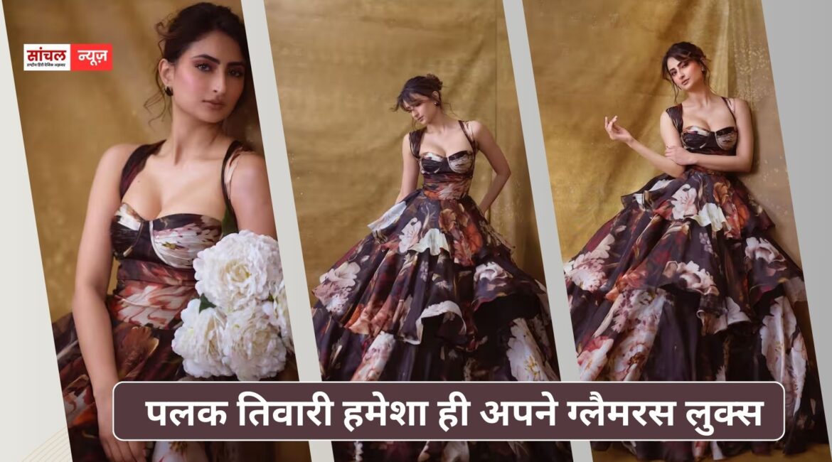 पलक तिवारी हमेशा ही अपने ग्लैमरस लुक्स; लेटेस्ट पोस्ट सोशल मीडिया पर वायरल, तस्वीरों पर अटका फैंस का दिल