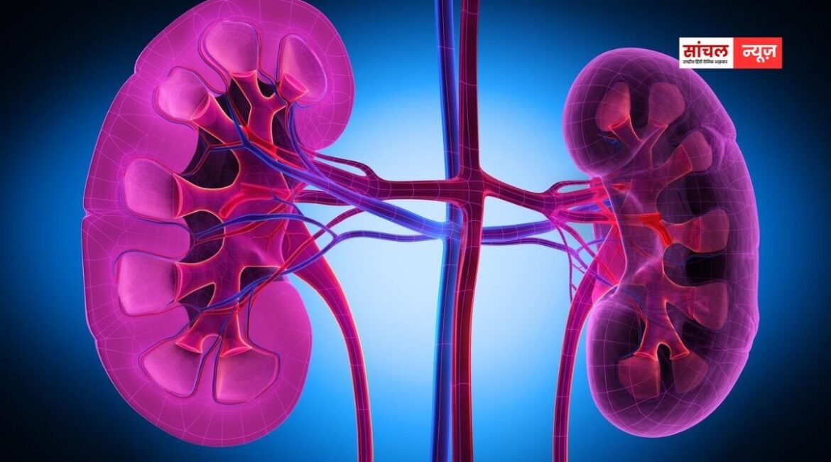 हाथ-पैरों पर सबसे पहले दिखते हैं किडनी डैमेज के ये लक्षण, चलिए आपको इसके कुछ लक्षण बताते हैं हाथ-पैरों पर सबसे पहले दिखते हैं किडनी डैमेज के ये लक्षण, चलिए आपको इसके कुछ लक्षण बताते हैं